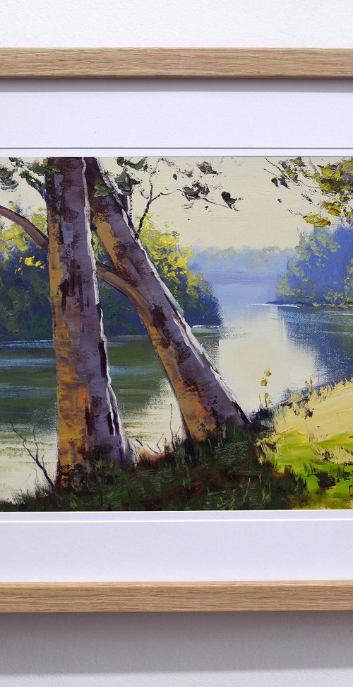 Australian Tumut River by Graham Gercken