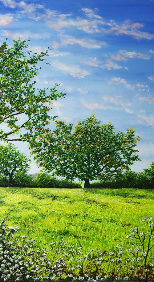 Summer Morning by Hazel Thomson