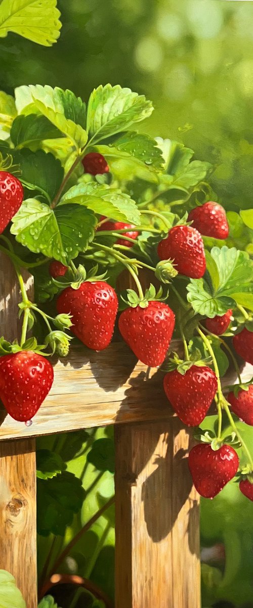 Strawberries t295 by Kunlong Wang