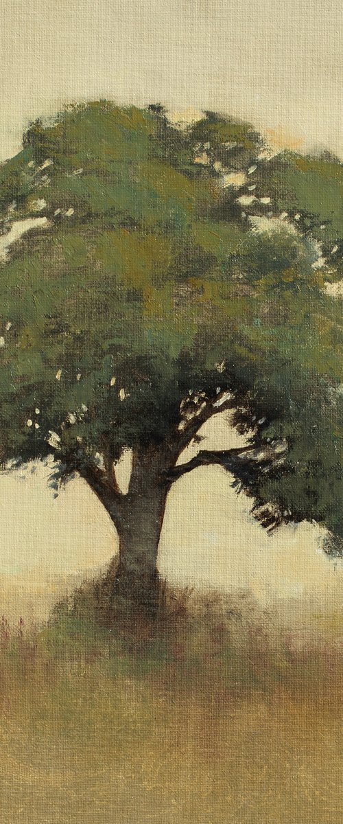 Oak Tree 220529, Tonal oak tree impressionist painting by Don Bishop