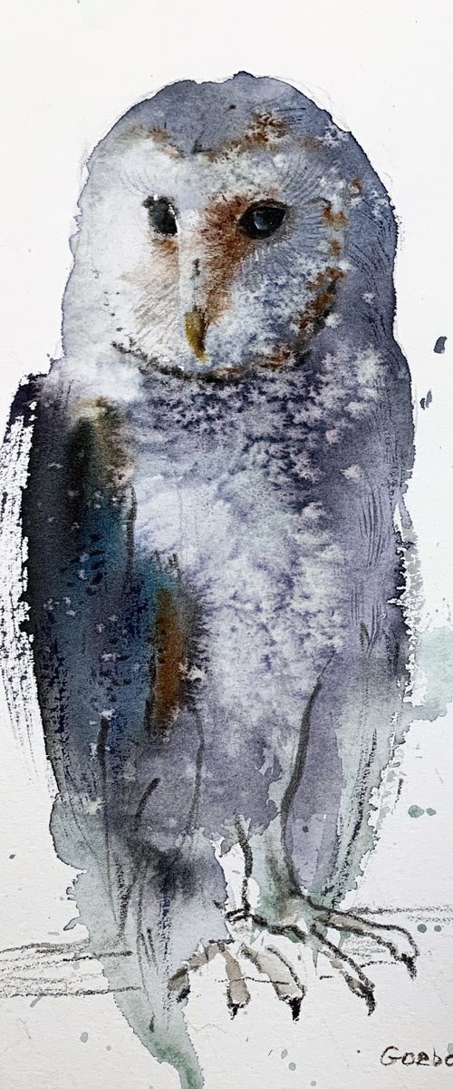 Gray owl by Eugenia Gorbacheva