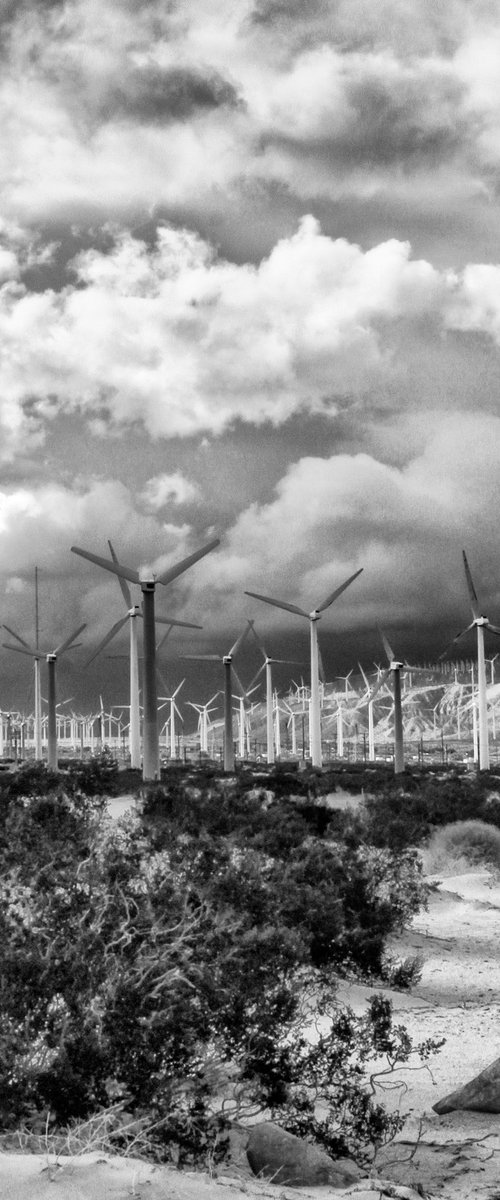 WIND DANCER Palm Springs CA by William Dey