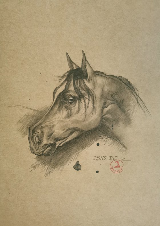 Horse#22524