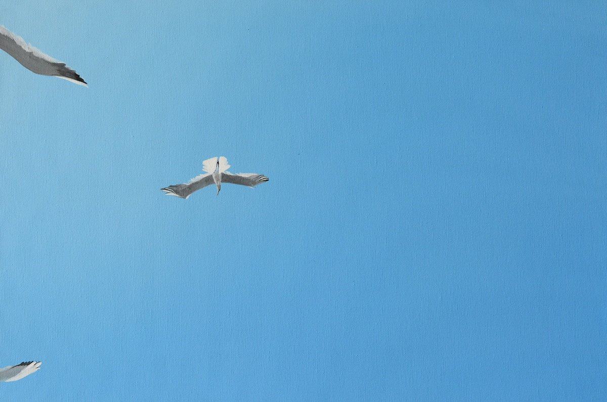 Impressionistic Landscape Acrylic Painting By Igor Nekraha, 24 X 17, Seagulls, Original Artwork