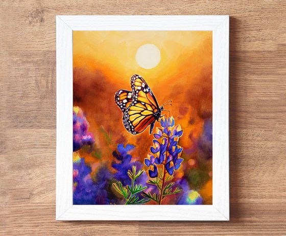 Monarch butterfly & bluebonnet