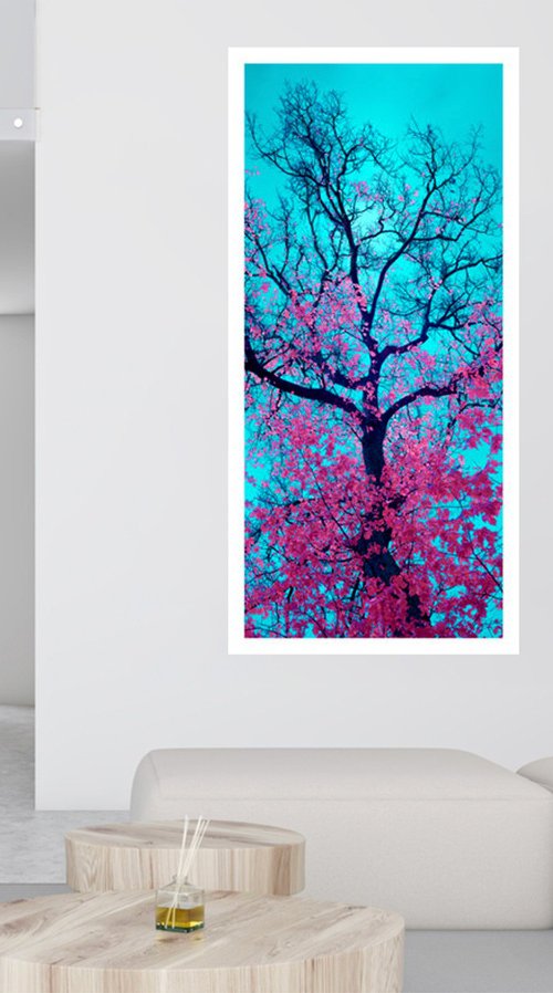 Chromatic Canopy by Nick Psomiadis