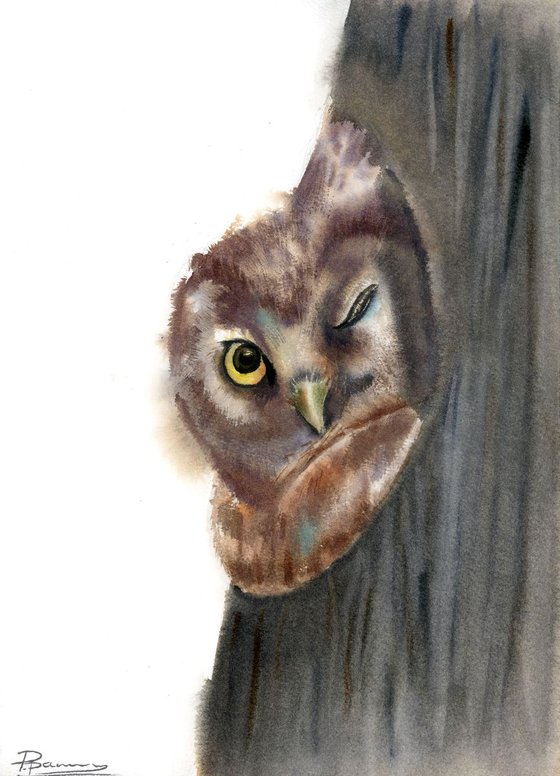 OWL in hollow