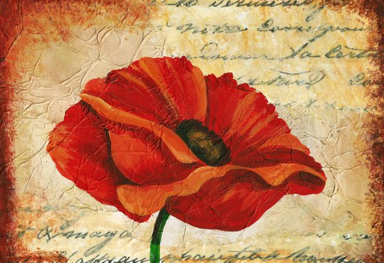 Antique Poppy