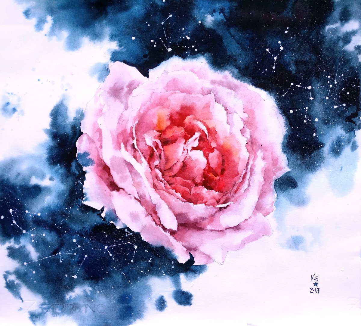 Modern watercolor artwork Cosmos of a rose flower by Ksenia Selianko