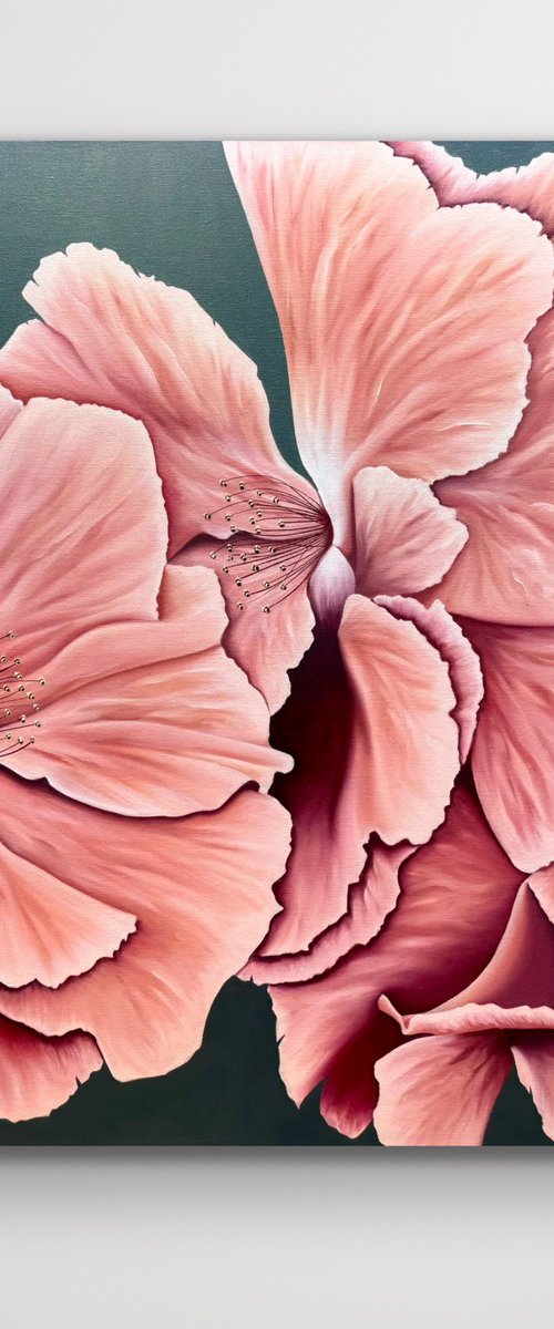 Roses 1 by Jonesy