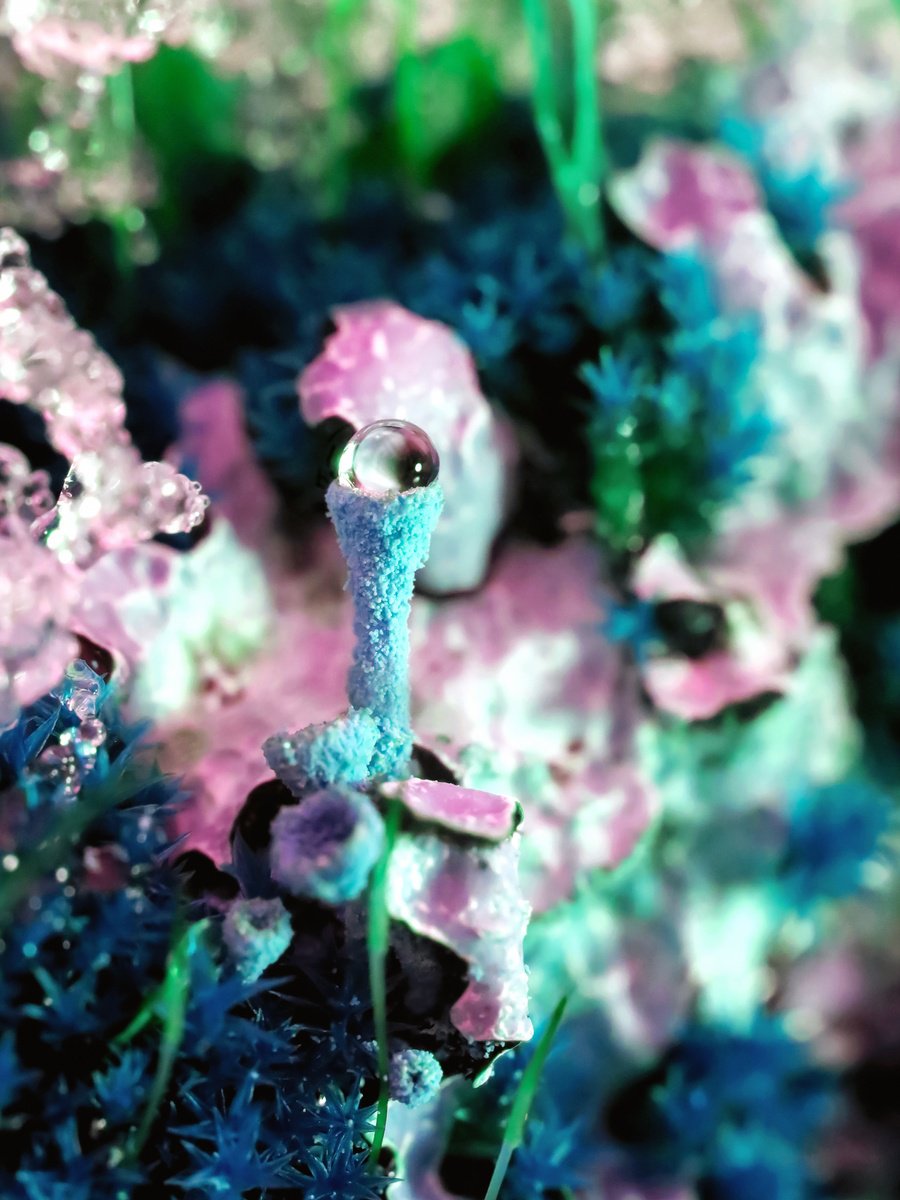 Surrealistic Photograph , Surreal Lichens Neighbourhood By Inna Etuvgi, 13 X 17, Artwork For Sale On Artfinder