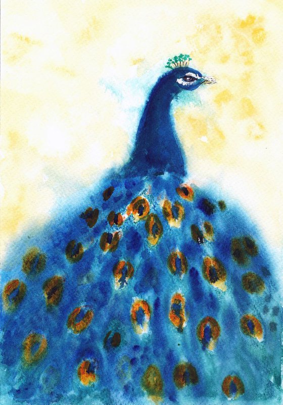 Proud as a Peacock - Flaunt it if you have it  Archiival Limited Edition Prints