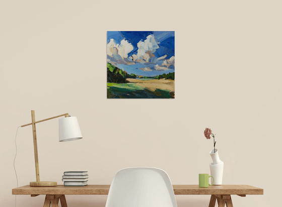 Fields Under Summer Skies