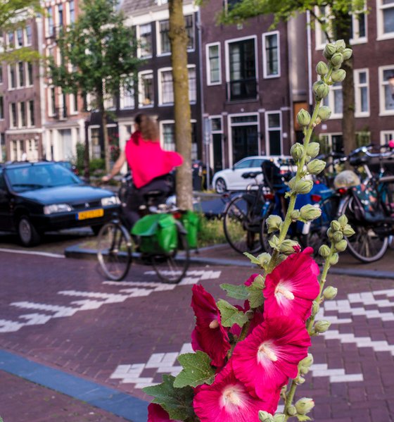 Cycling in Pink Amsterdam 2019 12'X8' 1/20