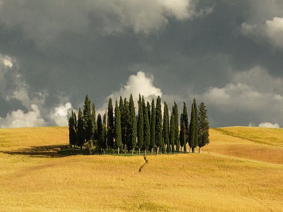 Prelude to the Storm