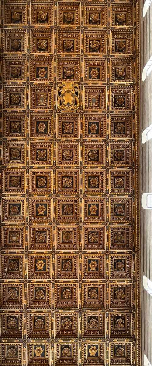 WL#122 Soffitto Duomo di Pisa by Mattia Paoli