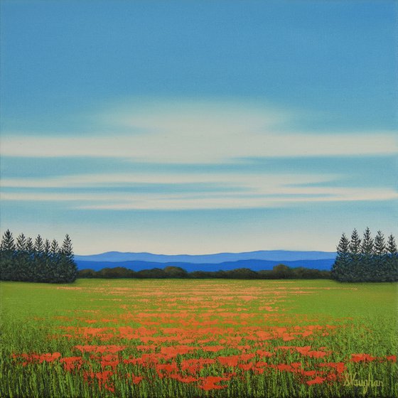 Field of Spring Poppies