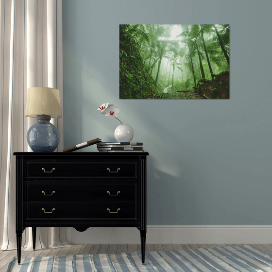 El Yunque Rain Forest