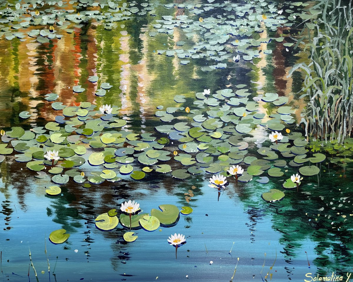 Water lilies. In the light of summer gold. by Yevheniia Salamatina
