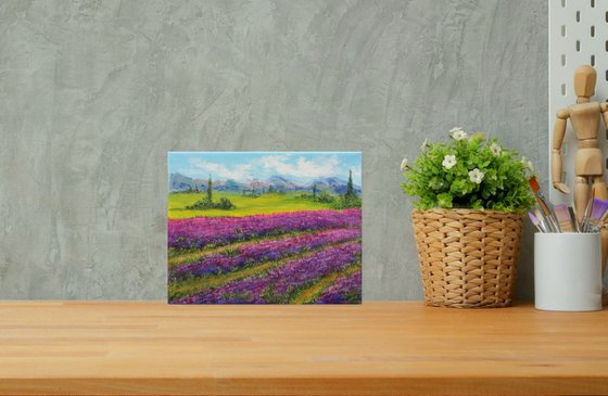 Lavender field 2