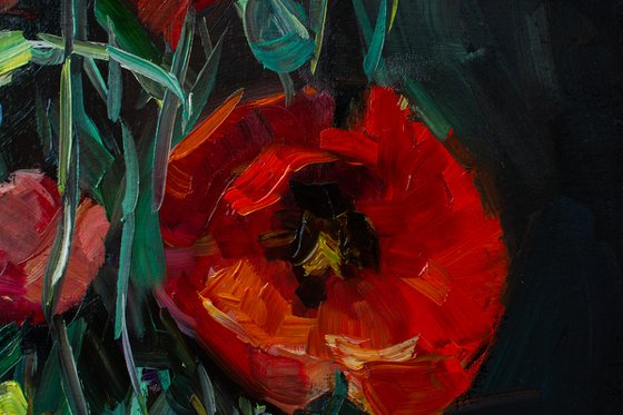 Red poppies