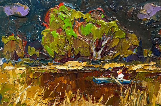 Going fishing after the rain
