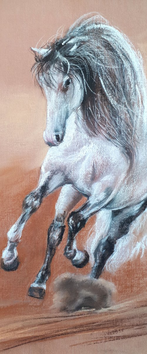 Horse V /  ORIGINAL Soft Pastel Drawing by Salana Art