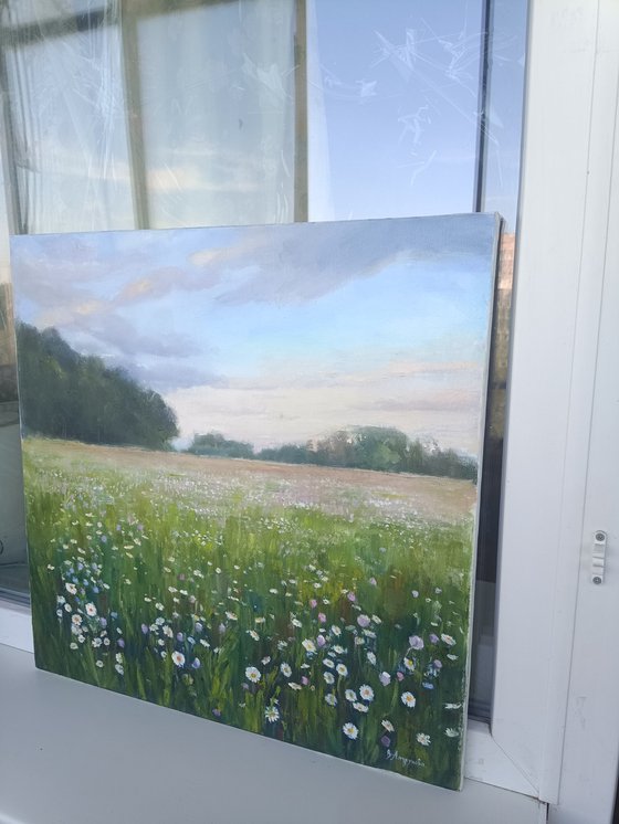 Field of daisies