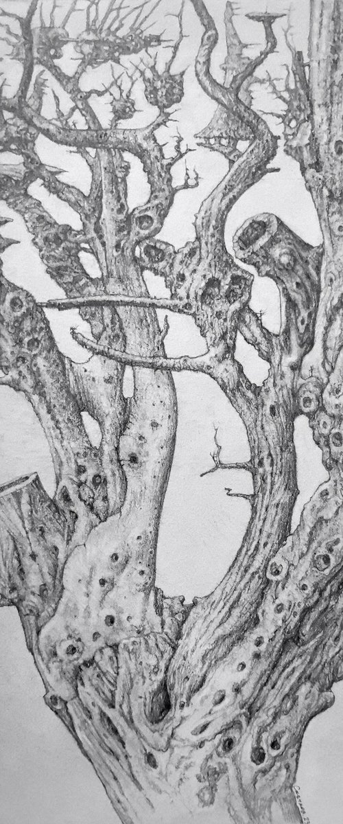 Every tree has its own melody. Habitat №04 by Sergei Skachkov