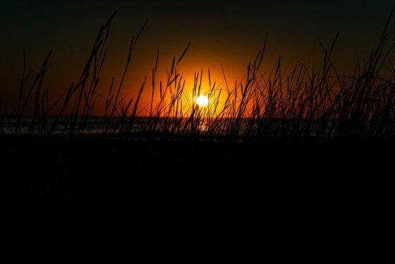 Dawn's Dune Sentinels