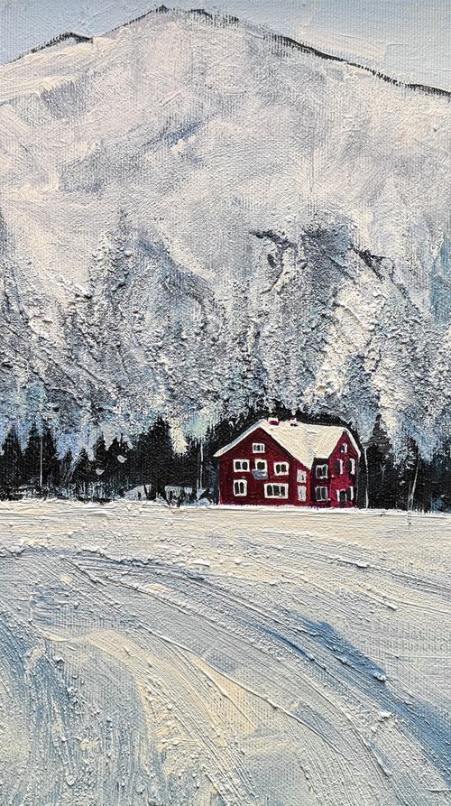 Bergen landscape by Jelena Nova