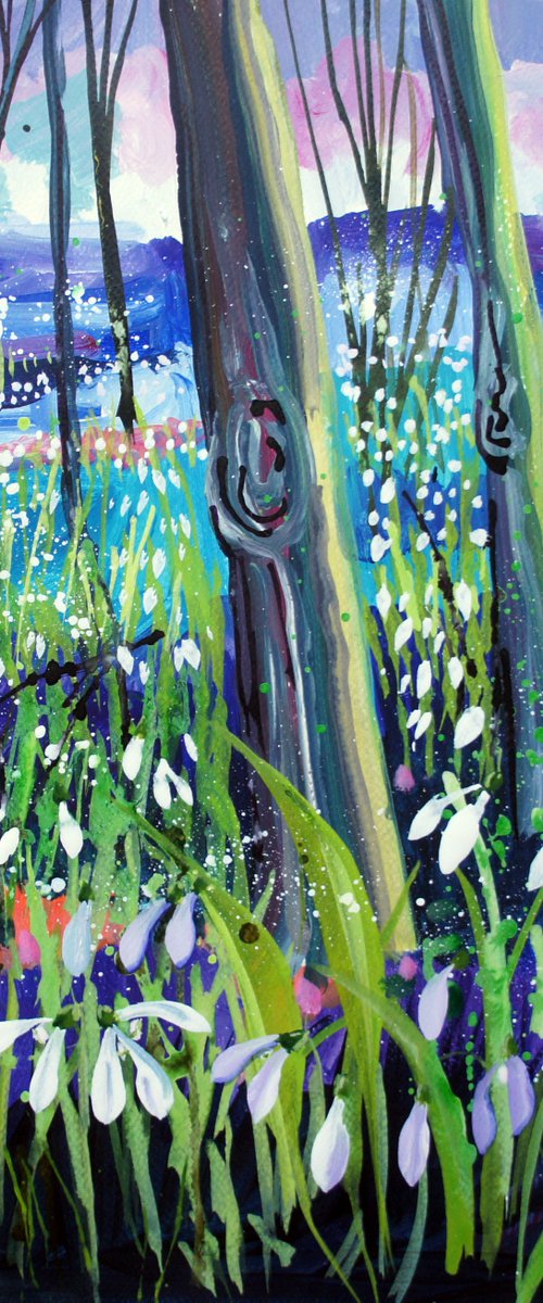 Evening Snowdrops by Julia  Rigby