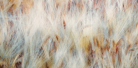 Dancing grains (studio 4)