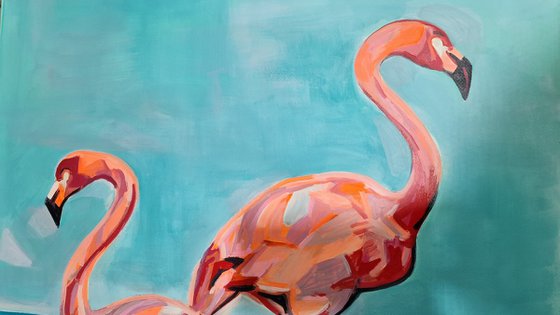 Flamingos