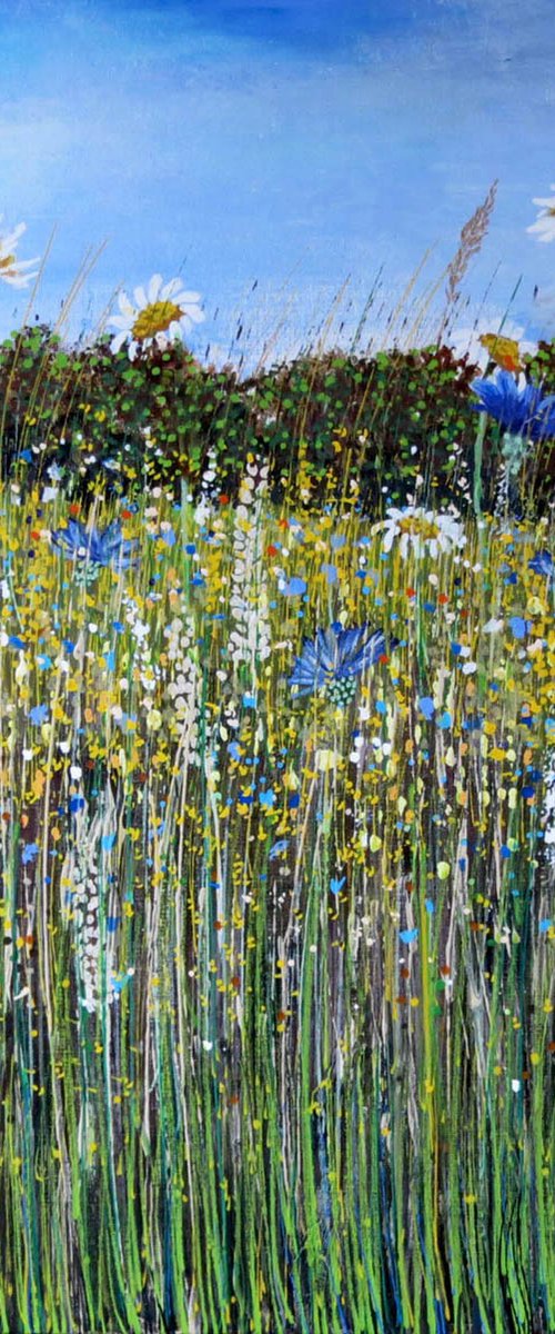 Wildflower Meadow 30 by Roz Edwards