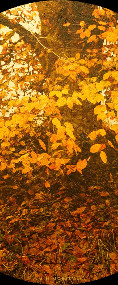 Autumnal 1 by Andrew Mortimer