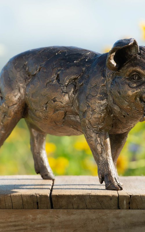 Standing Piglet BR by Tanya Russell