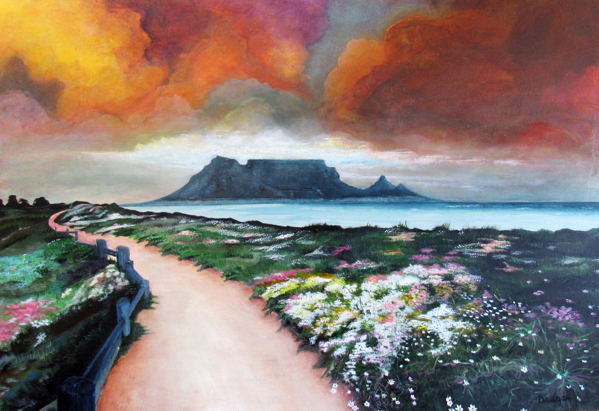 Table Mountain by Geraldo Braga