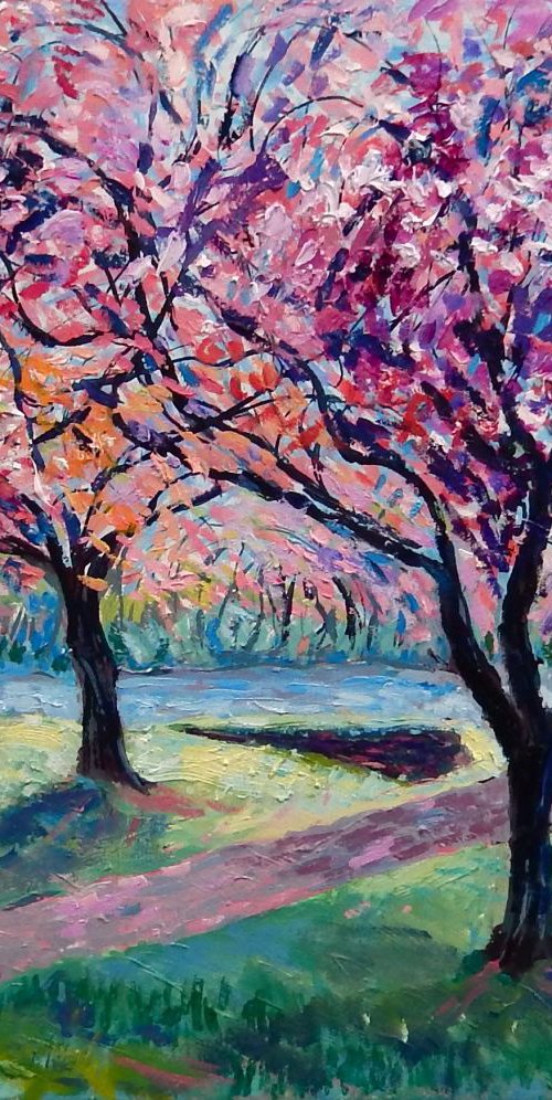 Cherry Trees, Leven, Fife by Stephen Howard Harrison