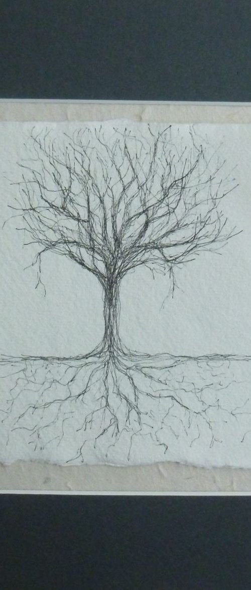 Roots 1 by Fiona Philipps