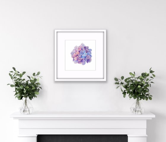 Hydrangea. Original watercolor artwork.