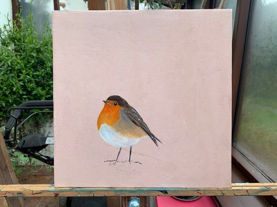 Contentment ~ Robin on Rose Gold