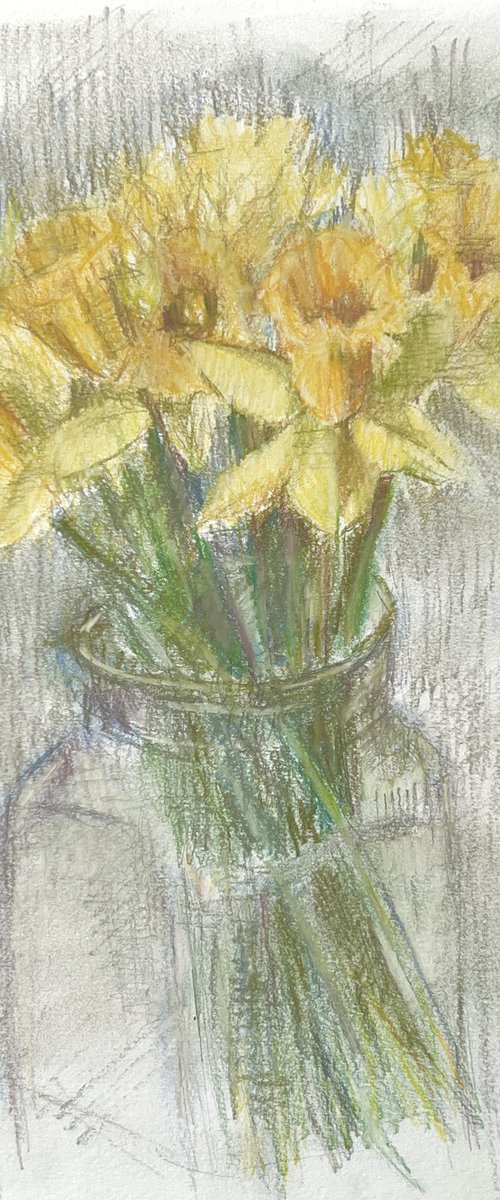 Daffodils by Louise Gillard