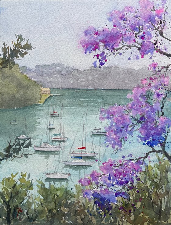 Sydney harbour - Mosman bay through jacaranda blossom