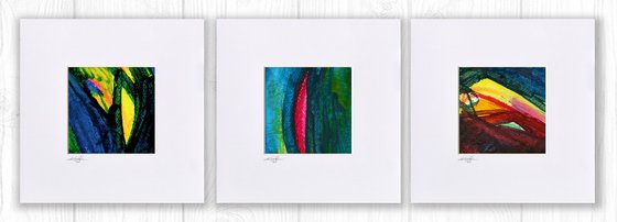 Velvety Abstraction Col.1