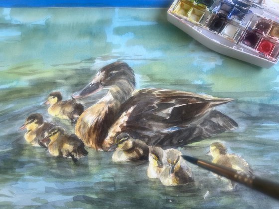 Ducklings Day Out
