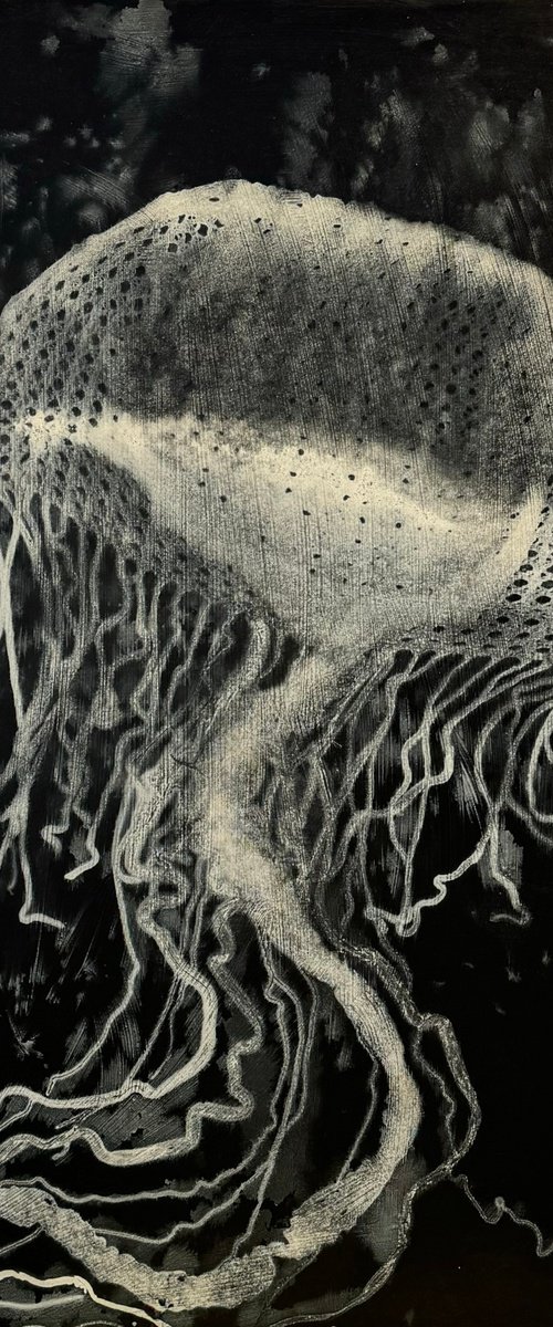 Jellyfish white by LUCIA FABOVÁ