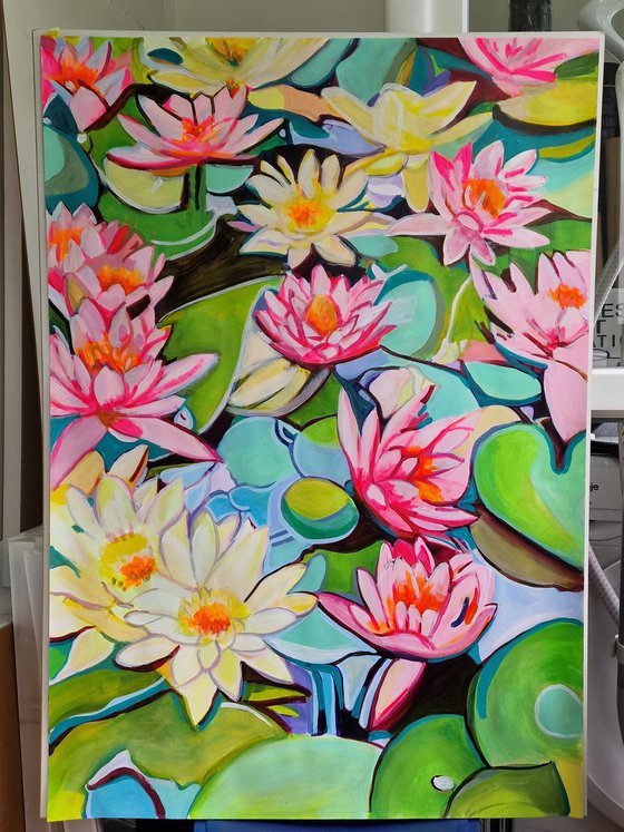 Water lilies