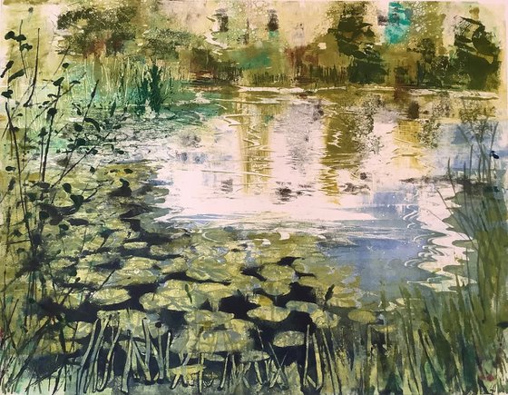Lily pond