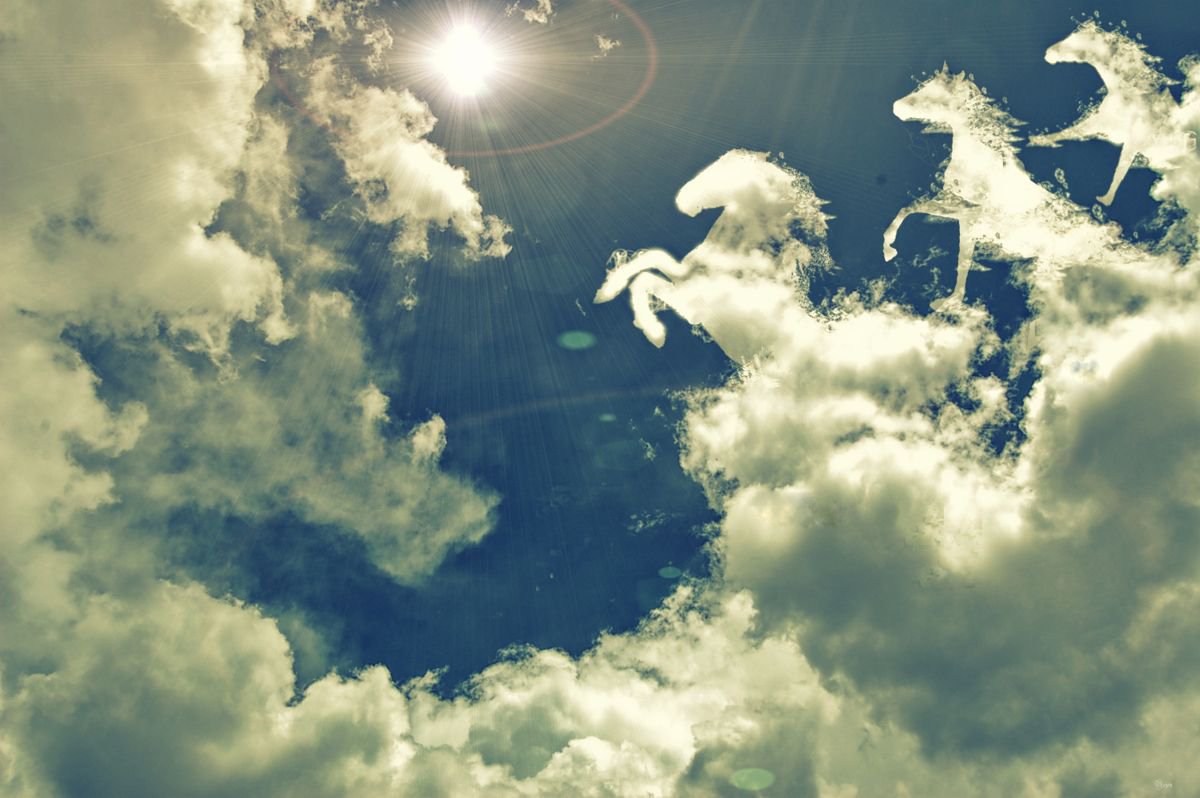 Illustrative Landscape Photograph By Bojan Jevtic, 43 X 29, Horses Clouds, Original Artwork